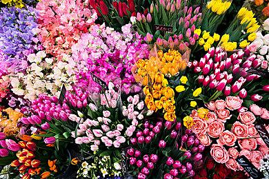 分析师：微软将被迫让旗下游戏登陆竞争对手平台