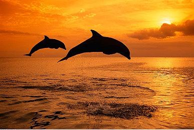 官方发文现端倪 粉丝猜测《地铁》新作或将发布